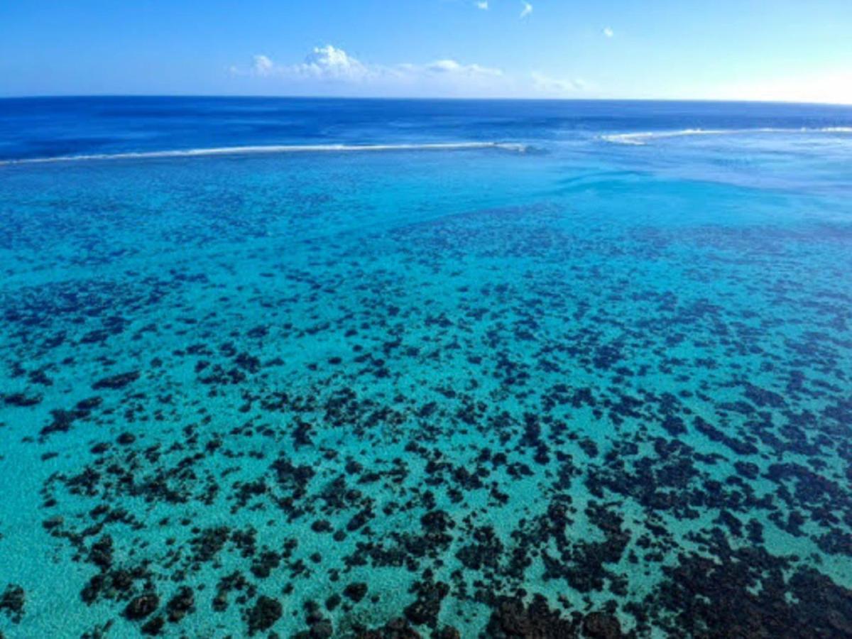 Moorea - Fare Taina Nui Haapiti Ngoại thất bức ảnh
